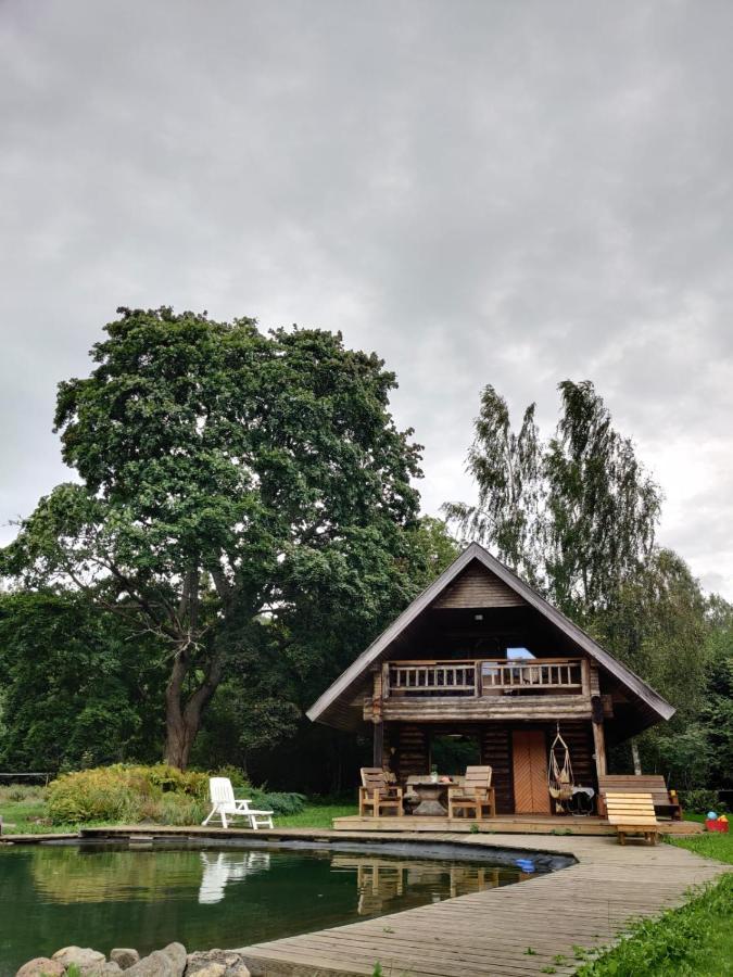 Villa Jaunzemji Dzeņi Exterior foto
